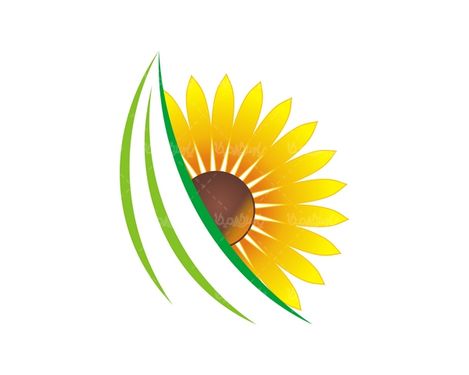 وکتور گل آفتابگردان