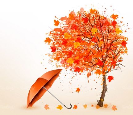 وکتور درخت پاییز