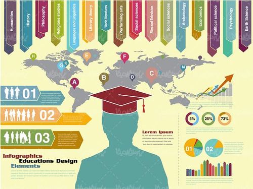 وکتور اینفوگرافی تحصیل
