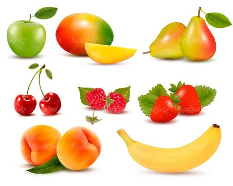 Fruit vector