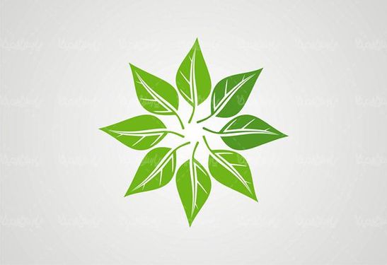 وکتور ECO
