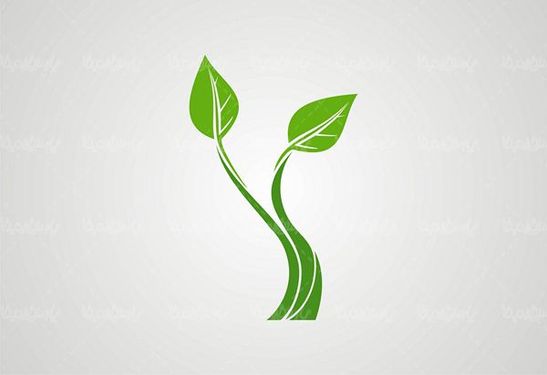 وکتور ECO