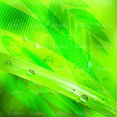 وکتور پس زمینه سبز