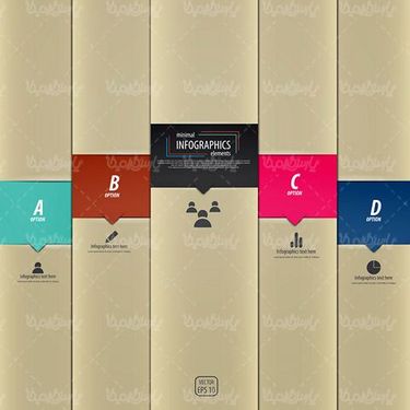 Infographic Vector