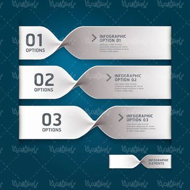 Infographic Vector