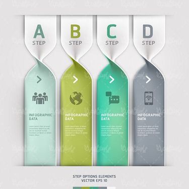 Infographic Vector