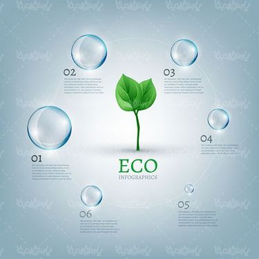 Infographic ECO Vector