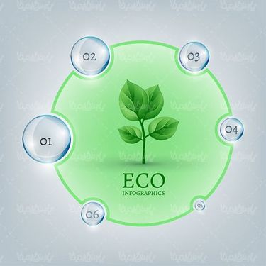 Infographic ECO Vector