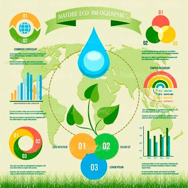 Infographic ECO Vector