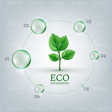 Infographic ECO Vector