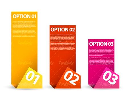 Infographic Vector