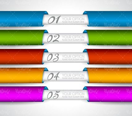 Infographic Vector