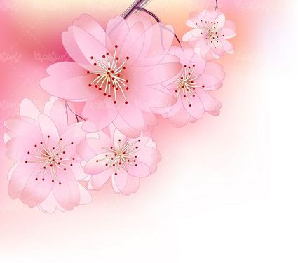 وکتور شکوفه بهاری