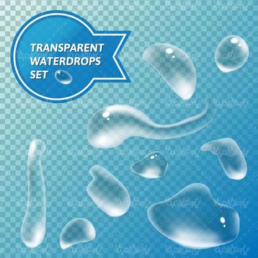 Water droplet vector