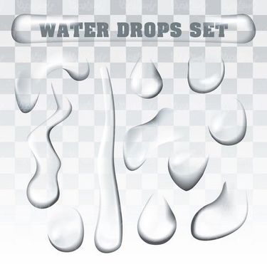 Water droplet vector