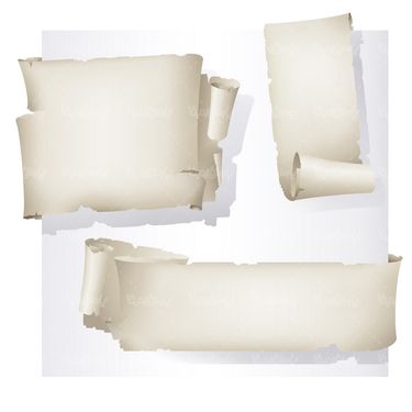 Paper label vector