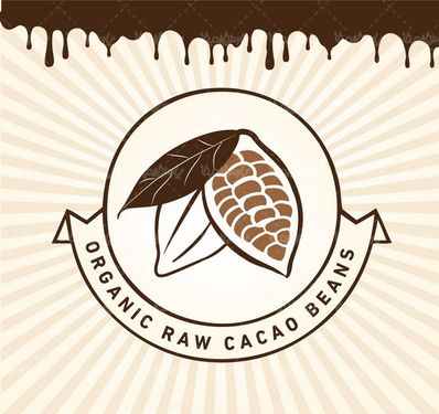 Chocolate cocoa vector