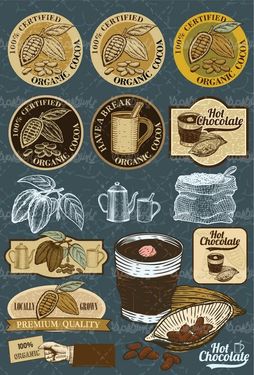 Chocolate cocoa vector