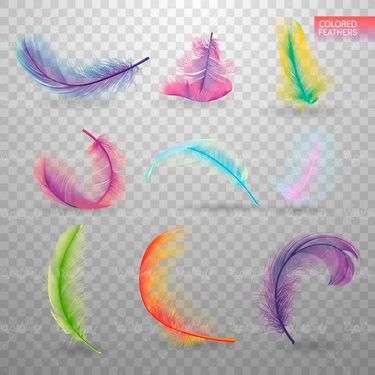 feathers vector