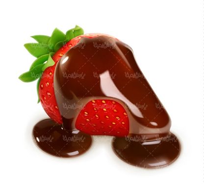 Chocolate vector