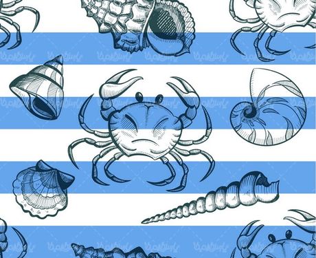 Vector of sea creatures