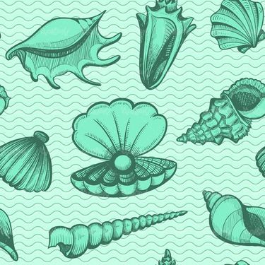 Vector of sea creatures