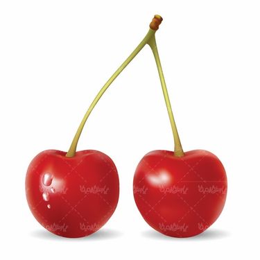 Fruit vector