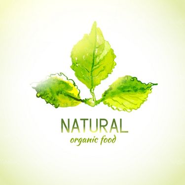 Vector Logo Organic Products