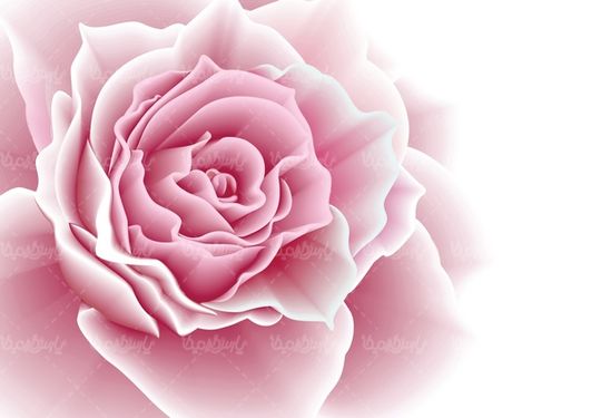 Vector pink wallpaper