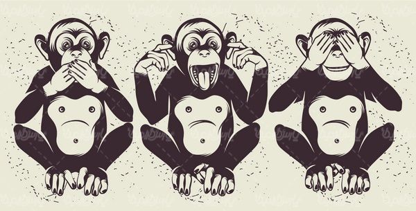 Monkey Vector