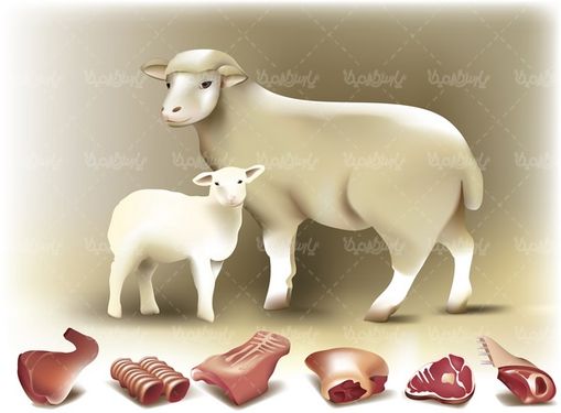 وکتور گوسفند