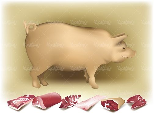 وکتور گوشت