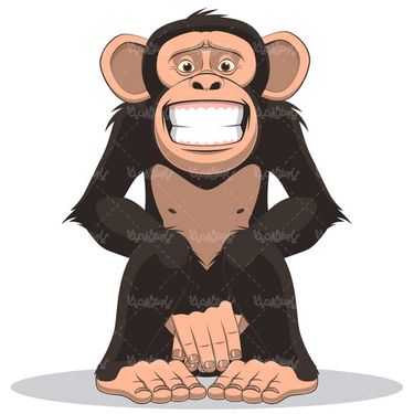 Monkey Vector