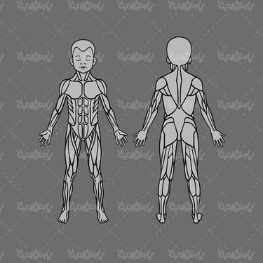 Vector anatomy