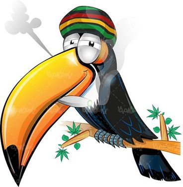Cartoon Vector