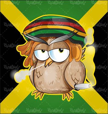 Cartoon Vector
