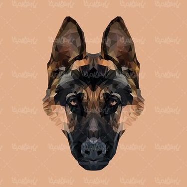 Dog Vector