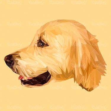 Dog Vector