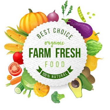 Organic fruit vector