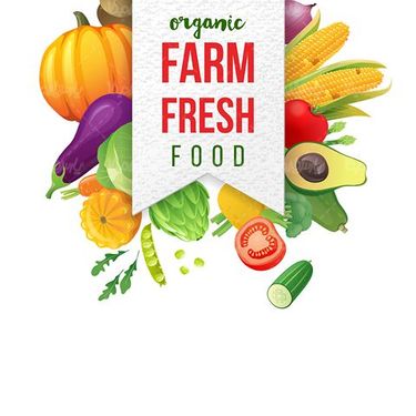 Organic fruit vector