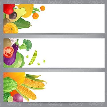 Organic fruit vector