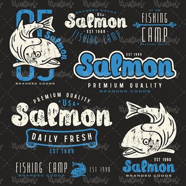 Vector logo shark