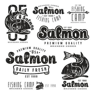 Vector logo shark
