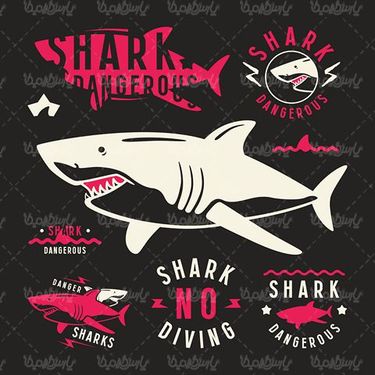 Vector logo shark