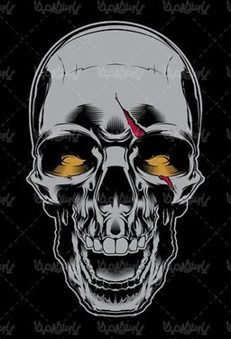 Skull vector