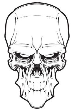 Skull vector