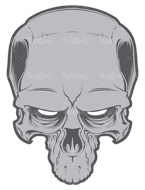 Skull vector