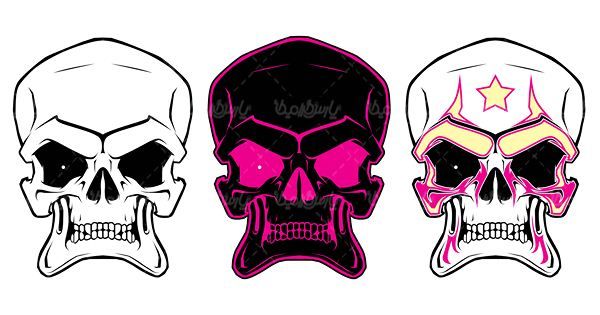 Skull vector