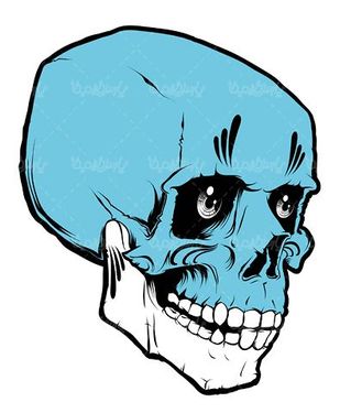 Skull vector
