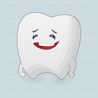 Tooth Vector